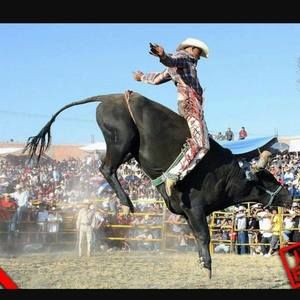 Meet your Posher, Bryan